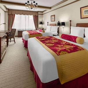 One-Bedroom Queen Suite